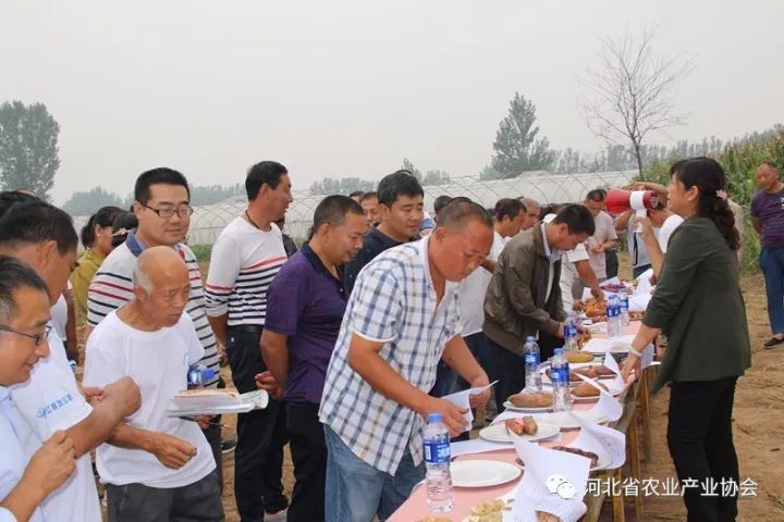 協(xié)會(huì)薯業(yè)專業(yè)委員會(huì)“甘薯新品種品鑒及輕簡化高效栽培技術(shù)現(xiàn)場觀摩會(huì)”成功舉辦