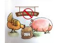 飼料“禁抗”新政出臺(tái)，行業(yè)準(zhǔn)備好了嗎？